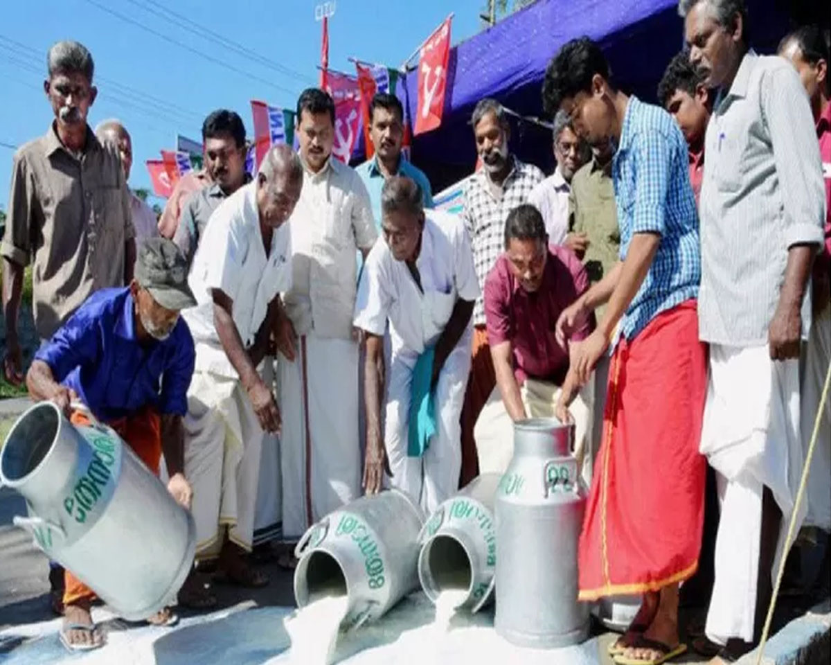 മില്‍മ പ്ലാന്റുകളിലെ തൊഴിലാളി സമരം; സംസ്ഥാനത്തെ പാല്‍ വിപണി പ്രതിസന്ധിയില്‍