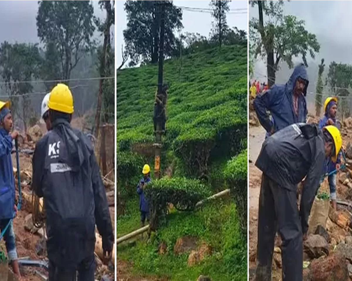 വിശ്രമിക്കാതെ കെഎസ്ഇബി; ഒടുവിൽ ഉരുൾപൊട്ടൽ തകർത്തെറിഞ്ഞ അട്ടമലയിൽ വൈദ്യുതിയെത്തി