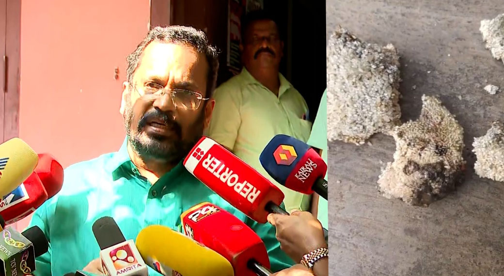 ‘പുഴുവരിച്ച അരി റവന്യൂ വകുപ്പ് നൽകിയതല്ല’; കണക്ക് പുറത്തുവിട്ട് മന്ത്രി, പരിശോധിക്കുമെന്നും ഉറപ്പ്